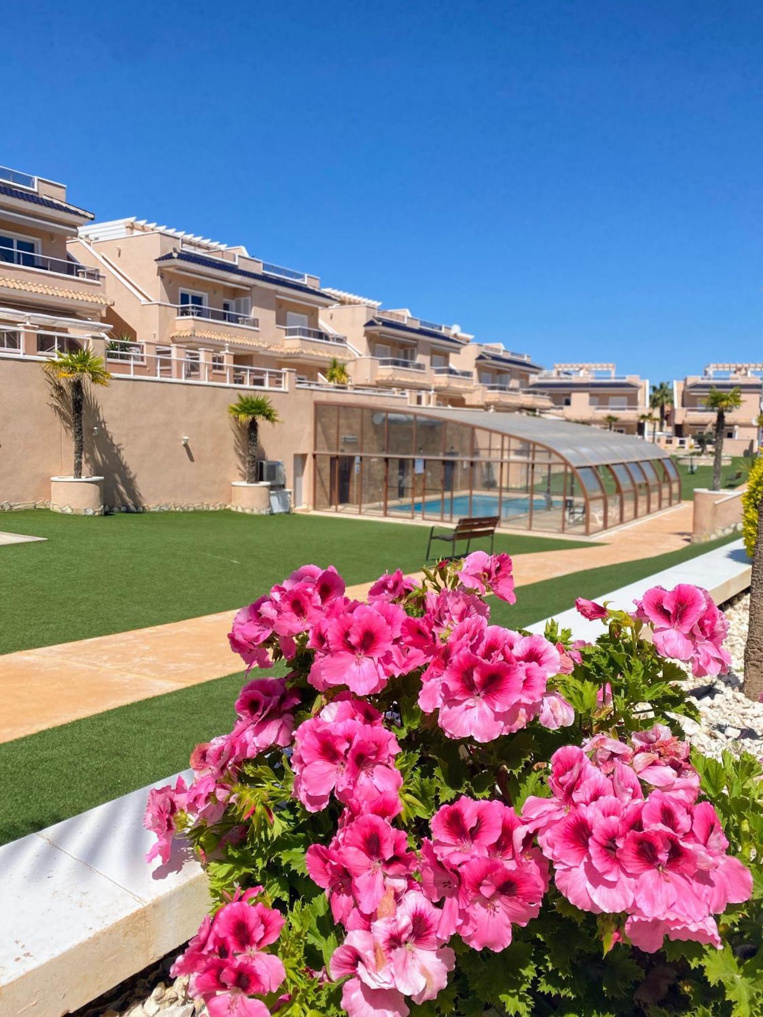 Apartments Punta Prima Indoor & Outdoor Pool تورّيفيِخا المظهر الخارجي الصورة
